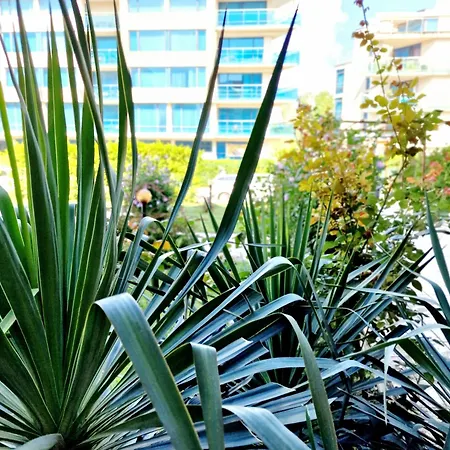 Apartment Immaculate 1-bed In Sunny *